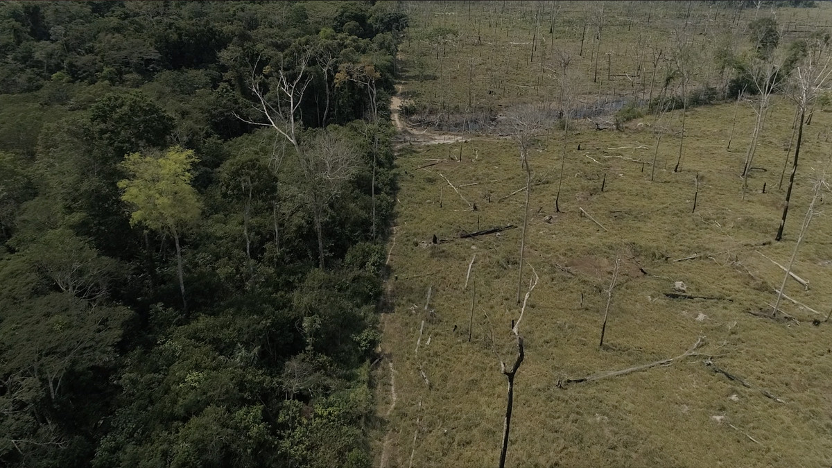 Amazon Rainforest Nearing Tipping Point