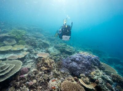 Great Barrier Reef Heritage Preserved